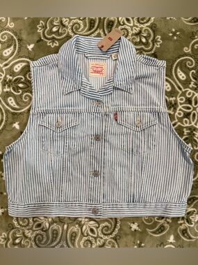 Levi's Blue & White Striped Denim Vest